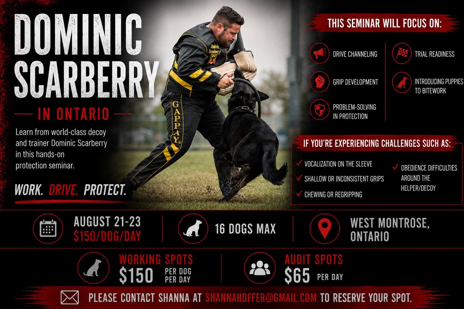 Dominic Scarberry Protection Seminar