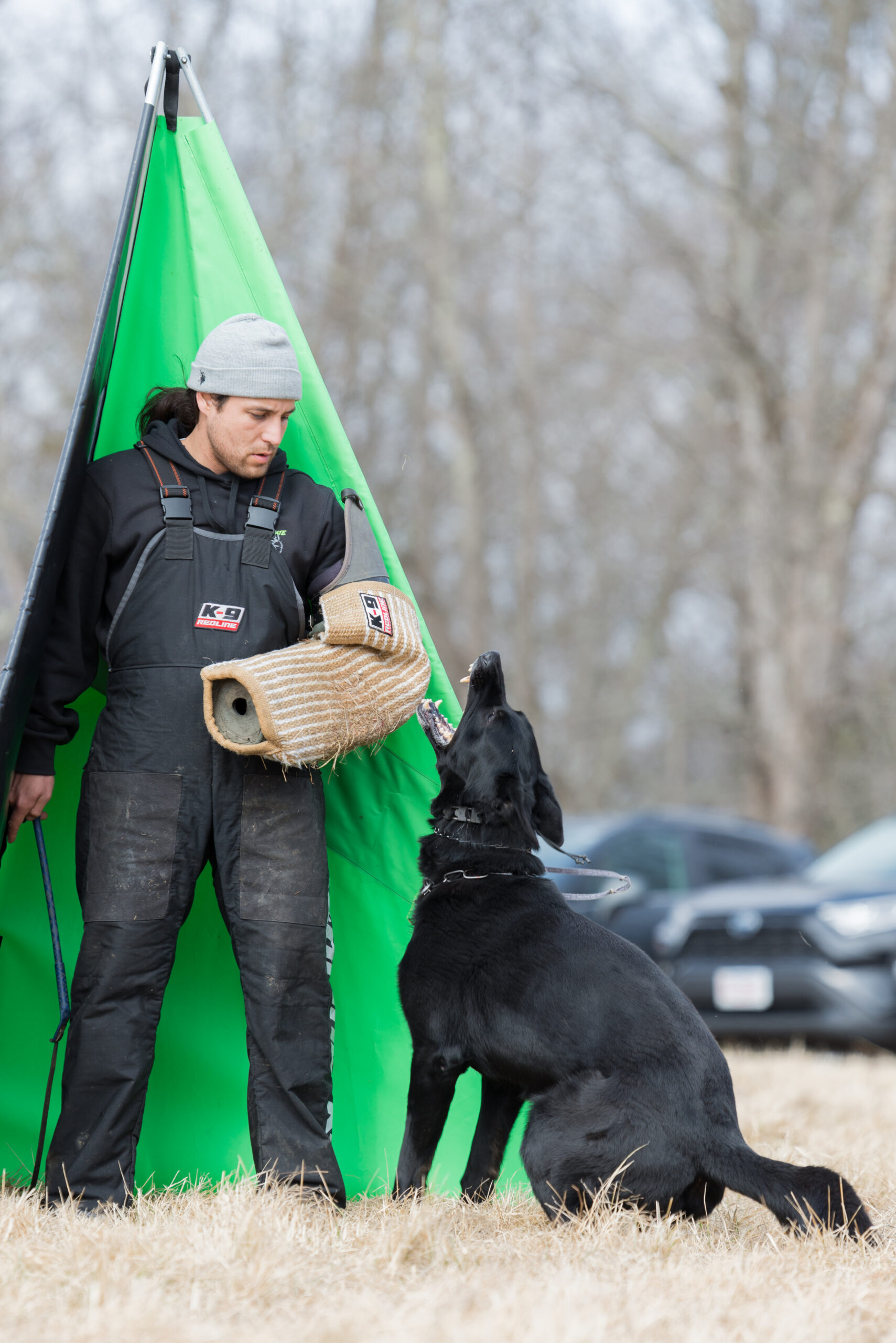 Tri-State Working Dog Club