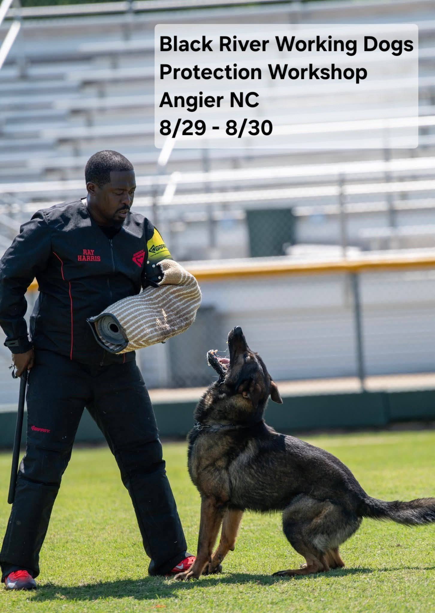 Ray Harris Protection Workshop