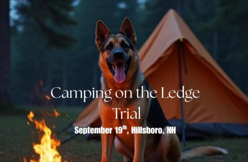 Camping on the Ledge 